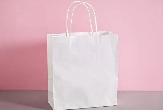 White Kraft_Paper_Bags